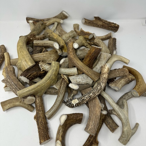 Lot Of 3 Real Large Whitetail Deer Antler Dog Chews For Large Dog - Picture 1 of 2